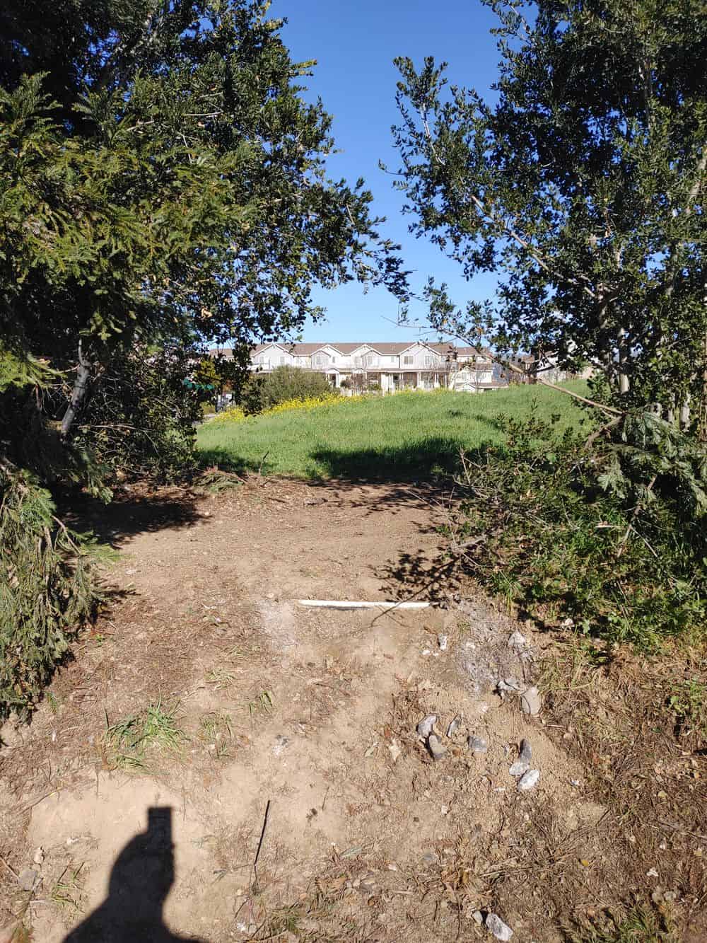 Yard Waste Removal image