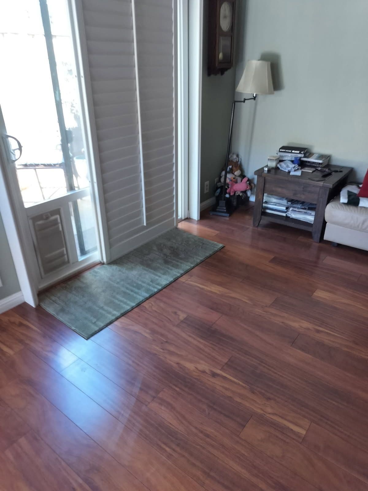 Effortless Couch Removal in San Jose image