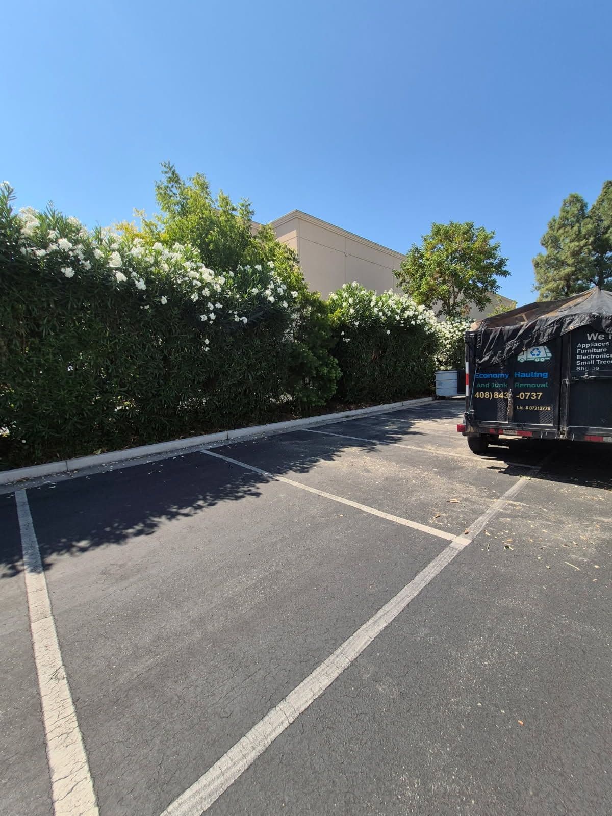 Efficient Shed Demolition in Morgan Hill image