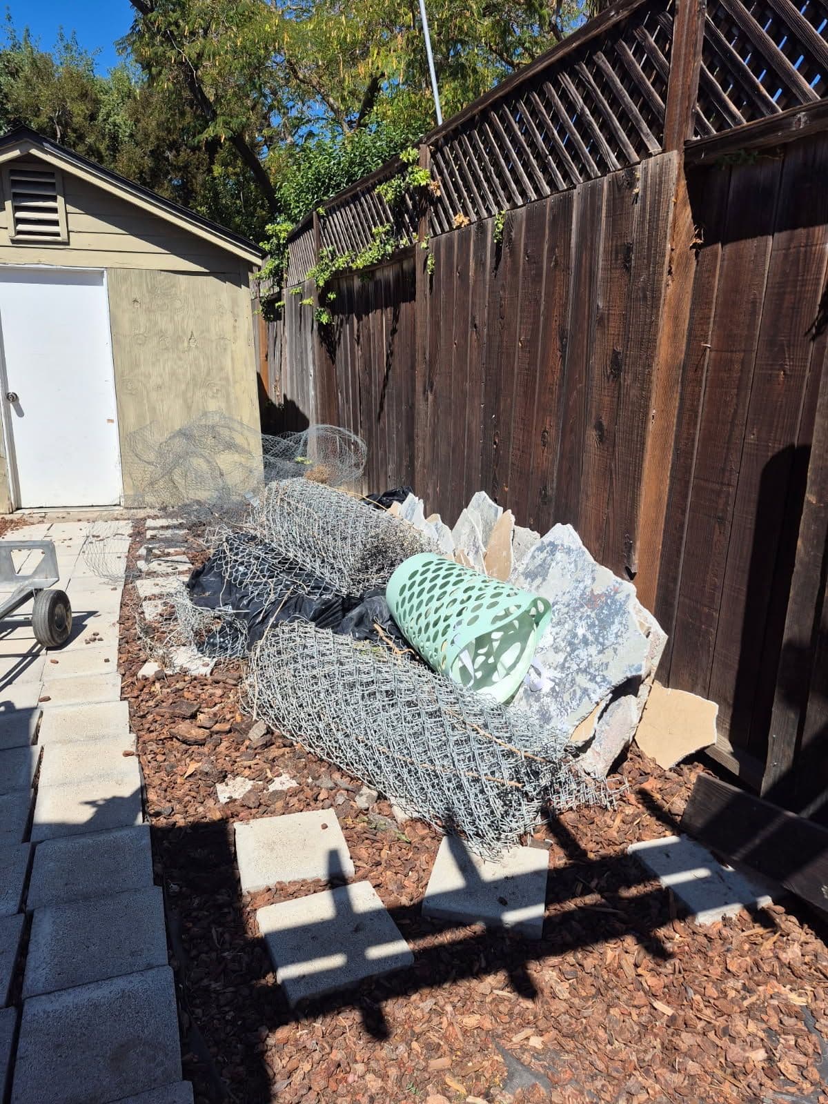 Gallery photos for Effortless Yard Cleanup and Debris Removal: Image #1