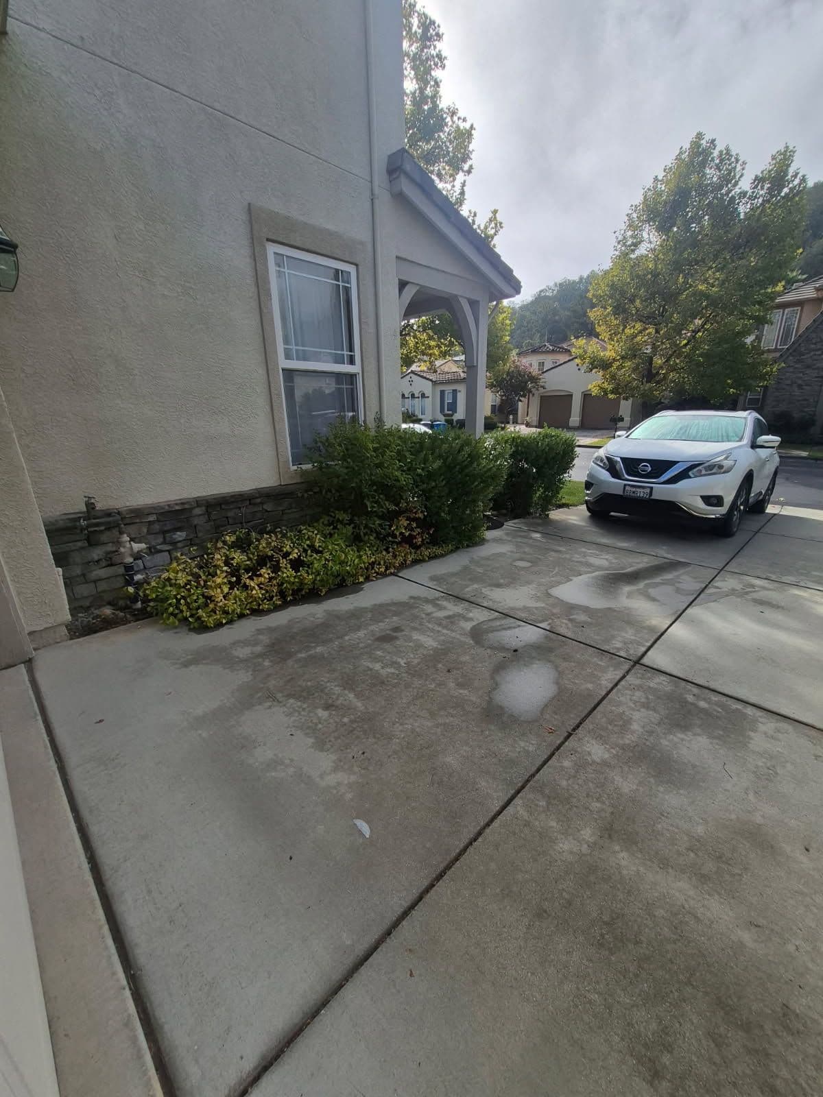 Driveway Cleanup in Gilroy image