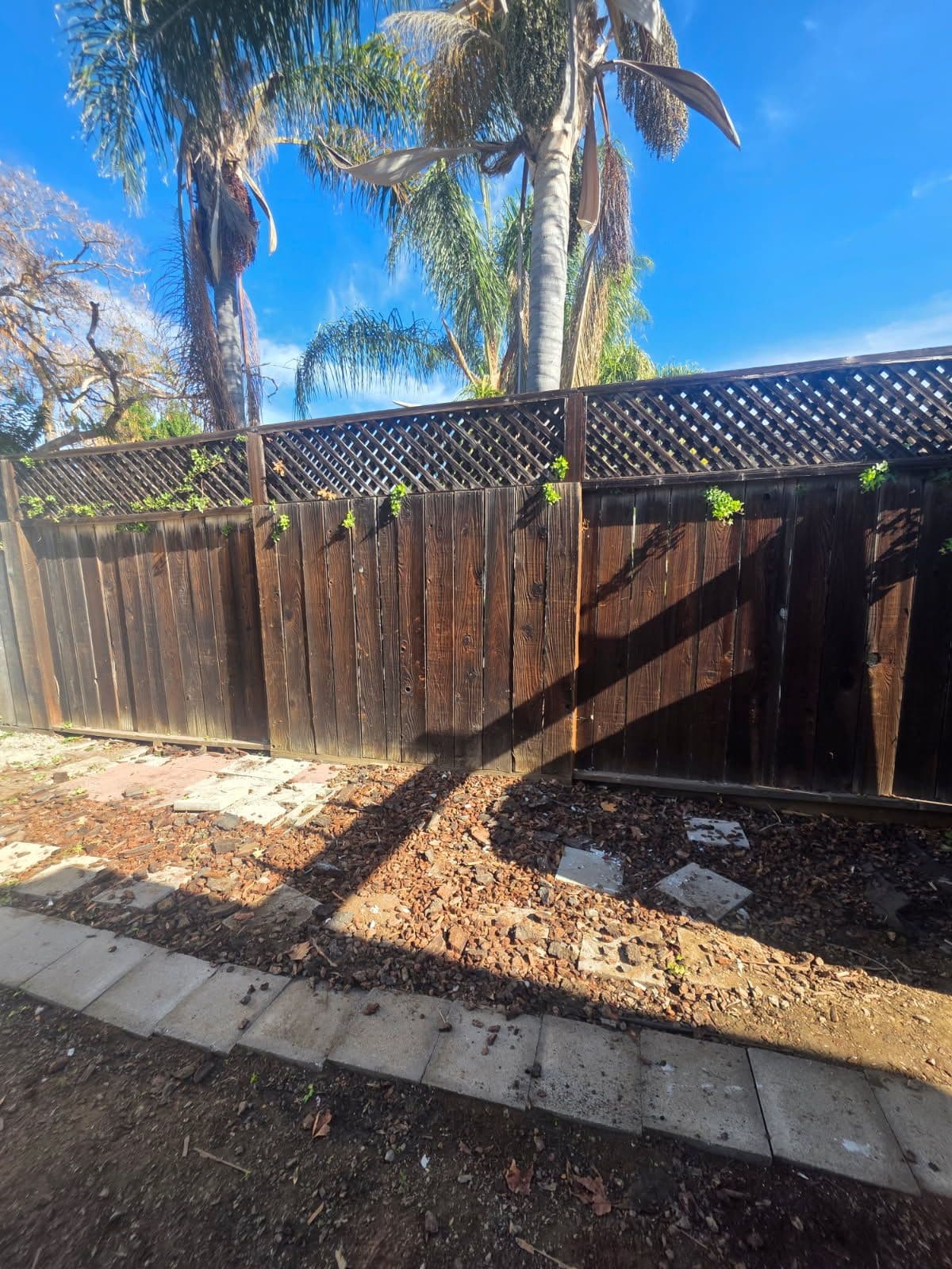 Project Decluttered Spaces in Campbell image