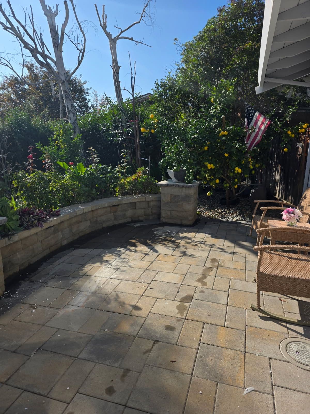 Project Patio Cleanup Project in Morgan Hill image