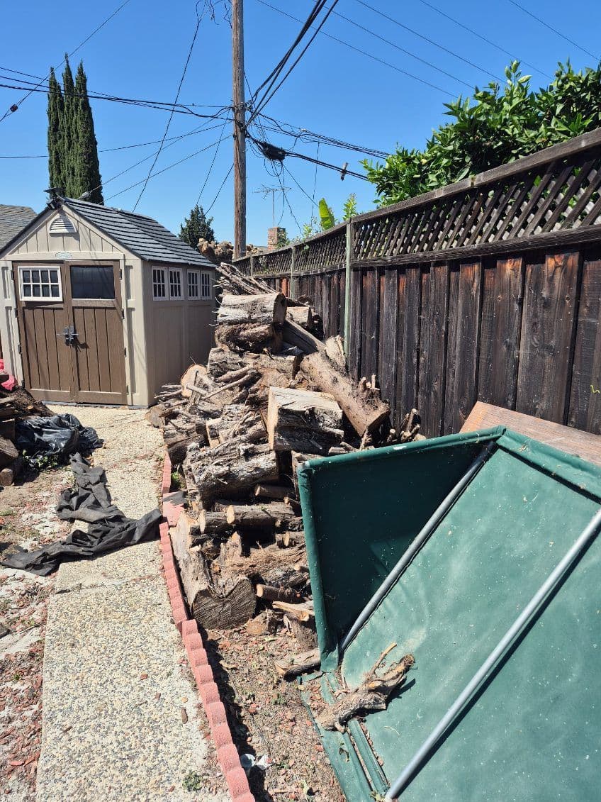 Project Yard Transformation in San Jose Clean and Clear image