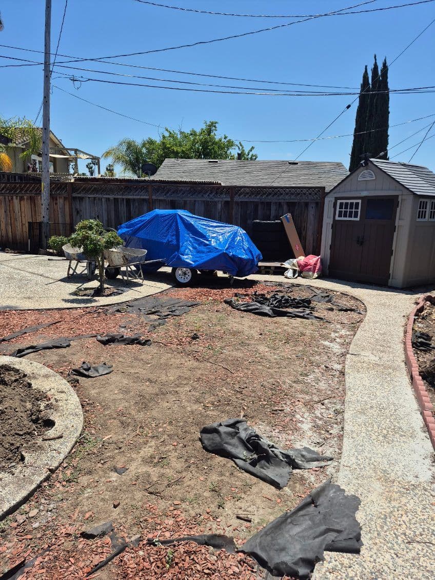 Gallery photos for Yard Transformation in San Jose Clean and Clear: Image #2