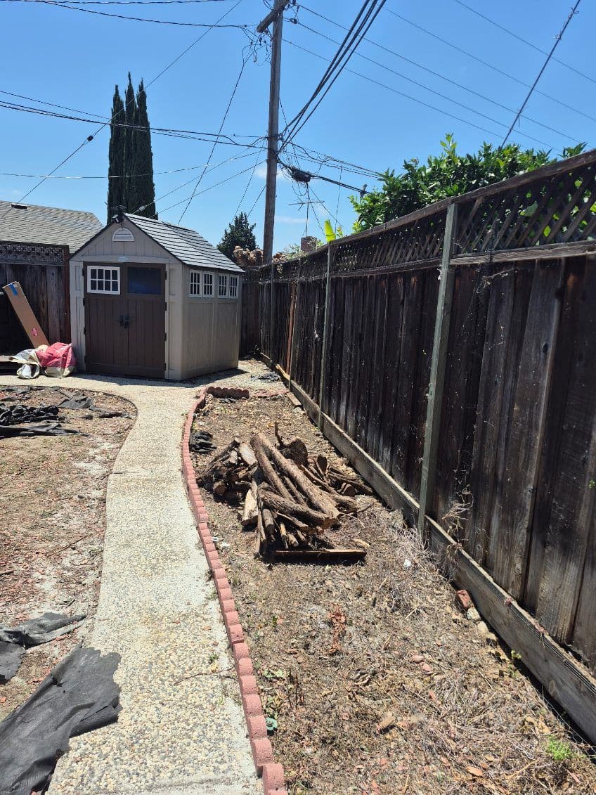 Gallery photos for Yard Transformation in San Jose Clean and Clear: Image #3
