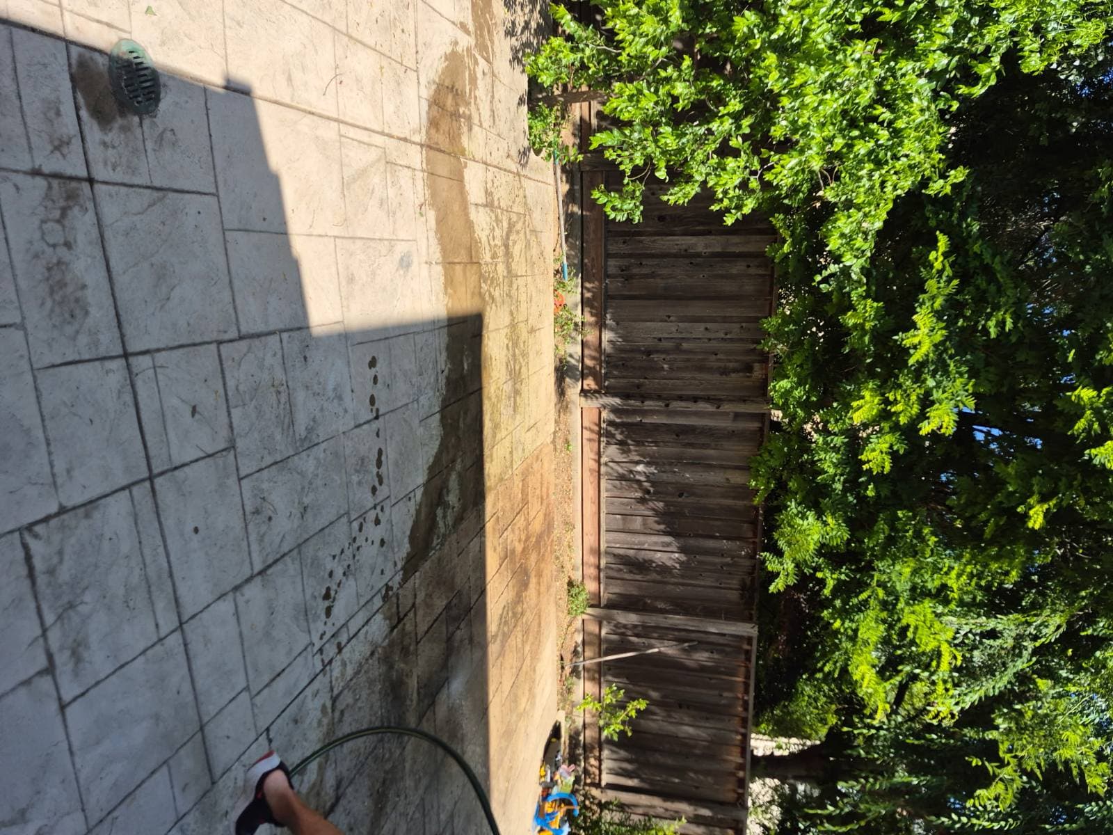 Gallery photos for Backyard Transformation Junk Removal in Morgan Hill: Image #3