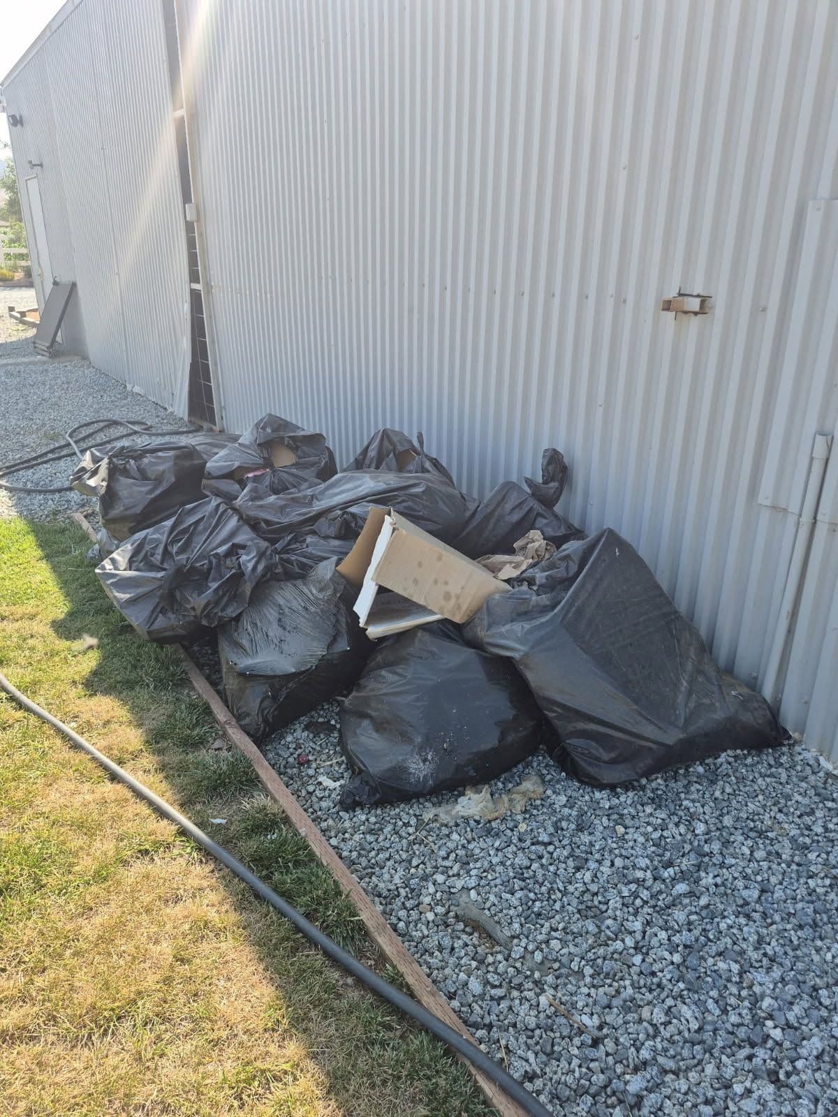 Morgan Hill's Go-To for After-Party Clean-Up image