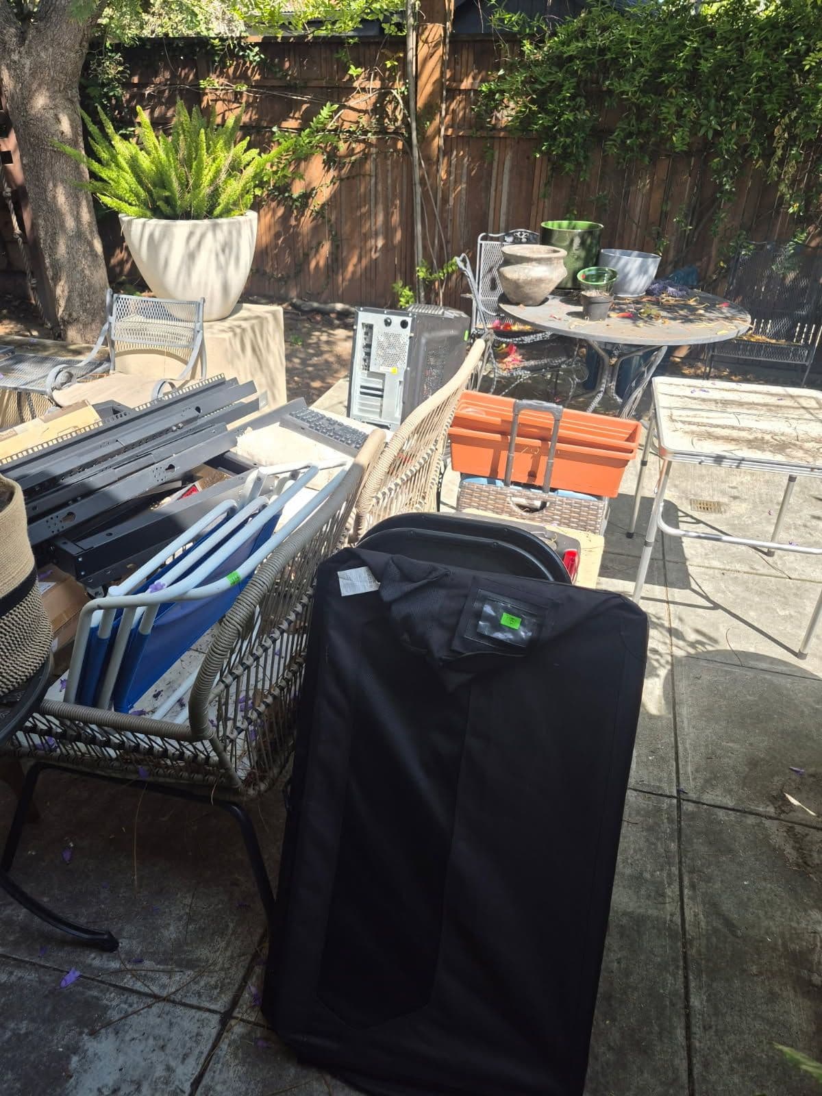 Efficient Yard and Patio Clearance for Summer image
