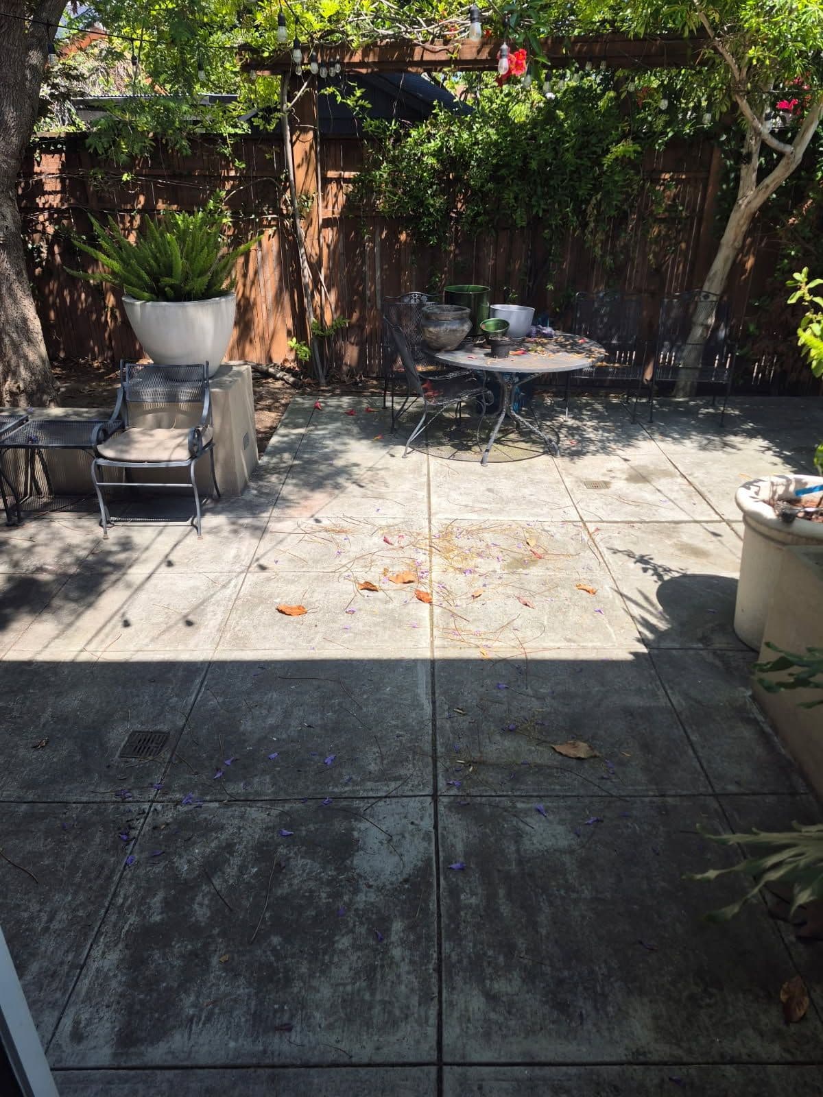 Gallery photos for Efficient Yard and Patio Clearance for Summer: Image #1