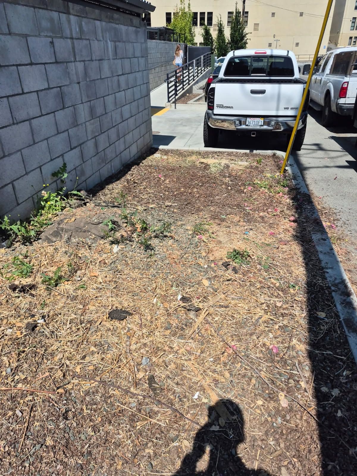 Gallery photos for Efficient Yard Waste Cleanup in San Jose: Image #1