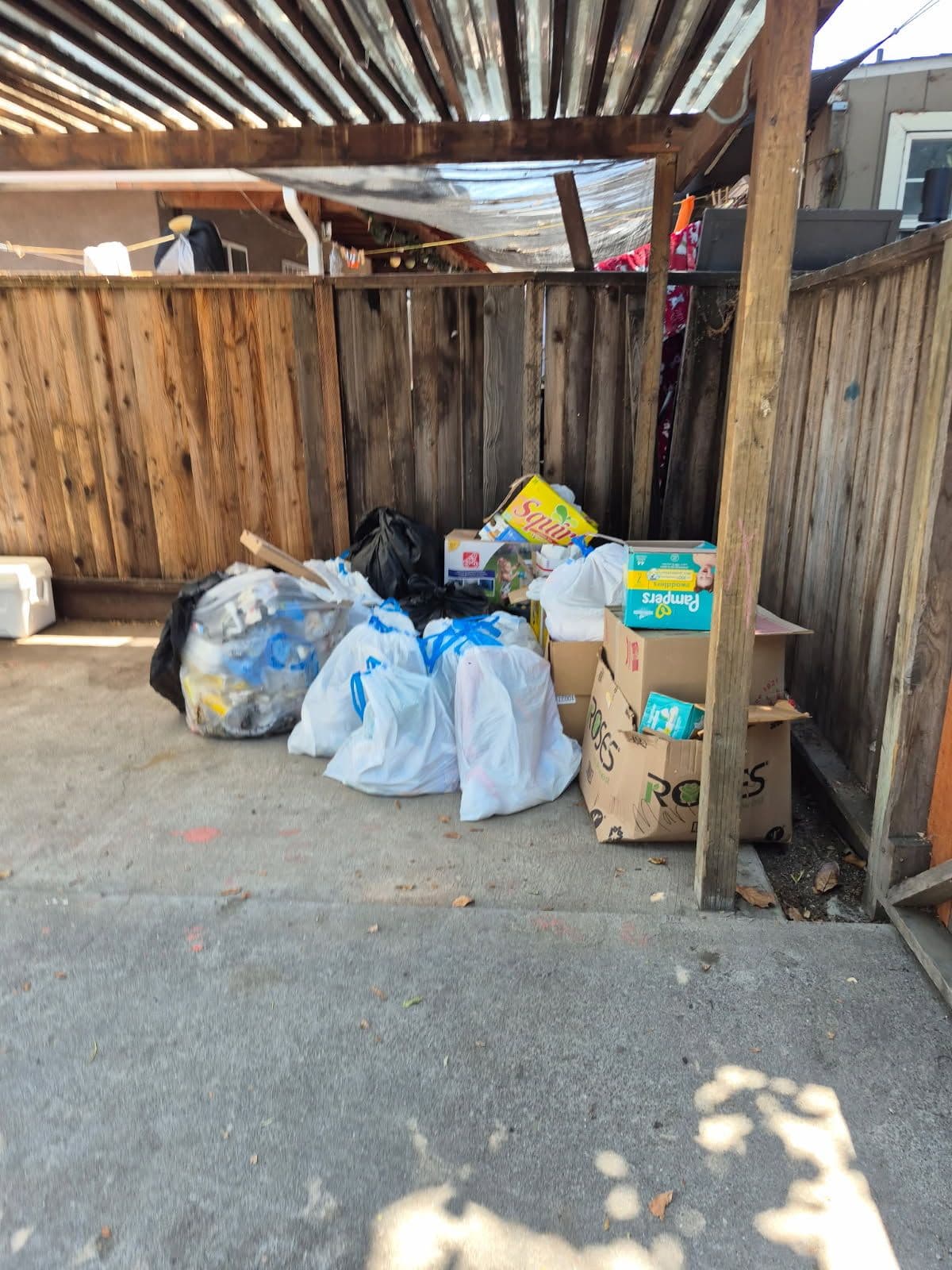 Project Swift Junk Removal for a Revitalized Space image