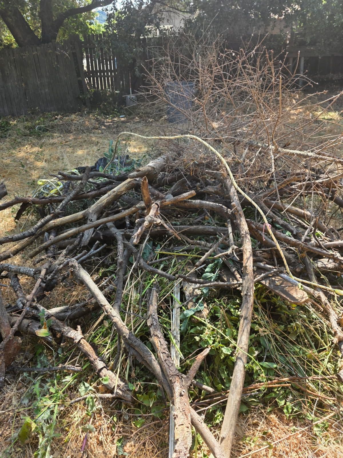 Morgan Hill Yard Cleanup and Debris Removal image