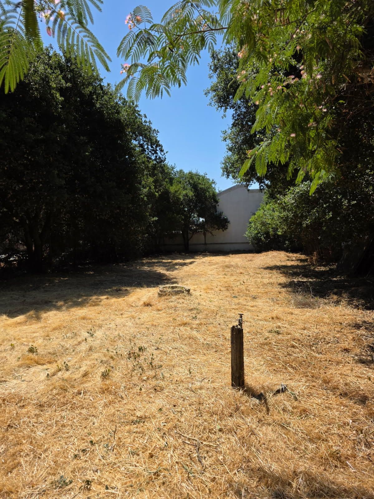 Gallery photos for Morgan Hill Yard Cleanup and Debris Removal: Image #1