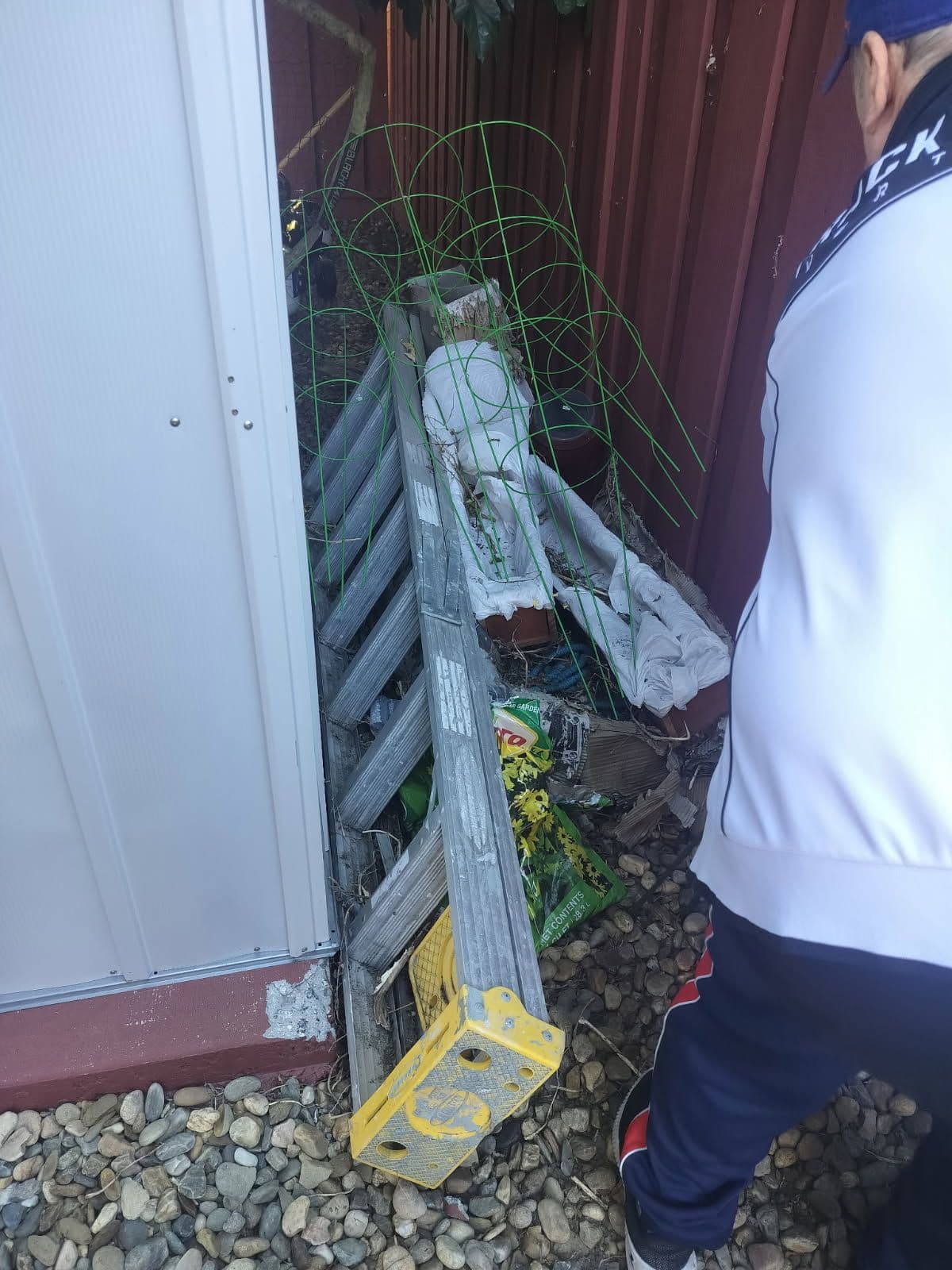 Project Clutter-Free Shed Transformation in Gilroy image