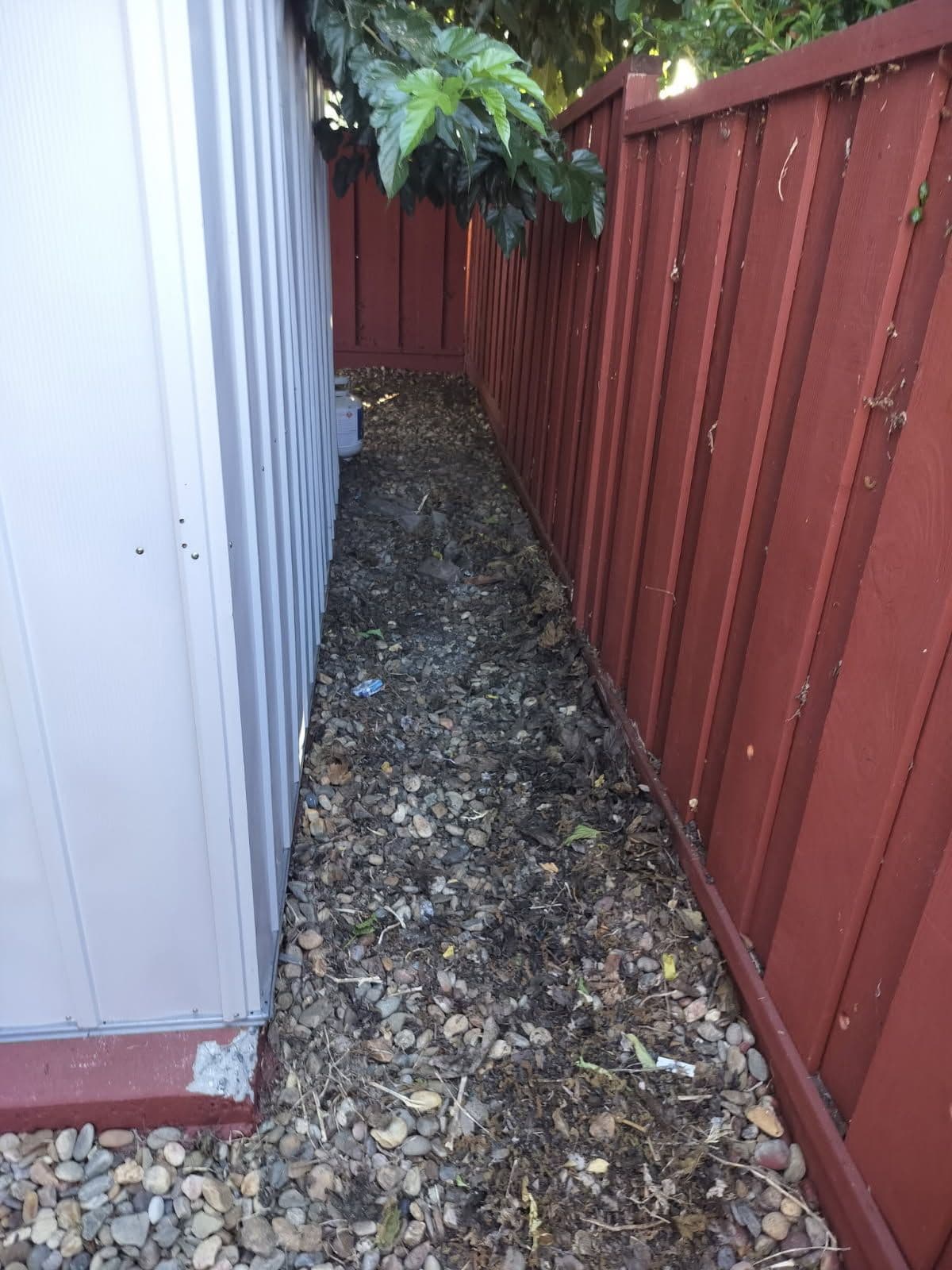 Gallery photos for Clutter-Free Shed Transformation in Gilroy: Image #1