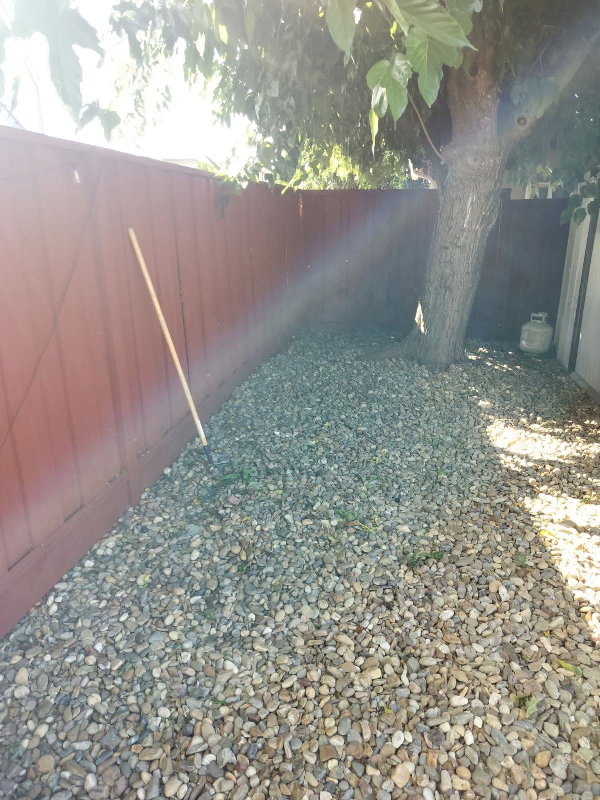 Gallery photos for Gilroy Backyard Transformed - Clutter to BBQ Bliss: Image #1