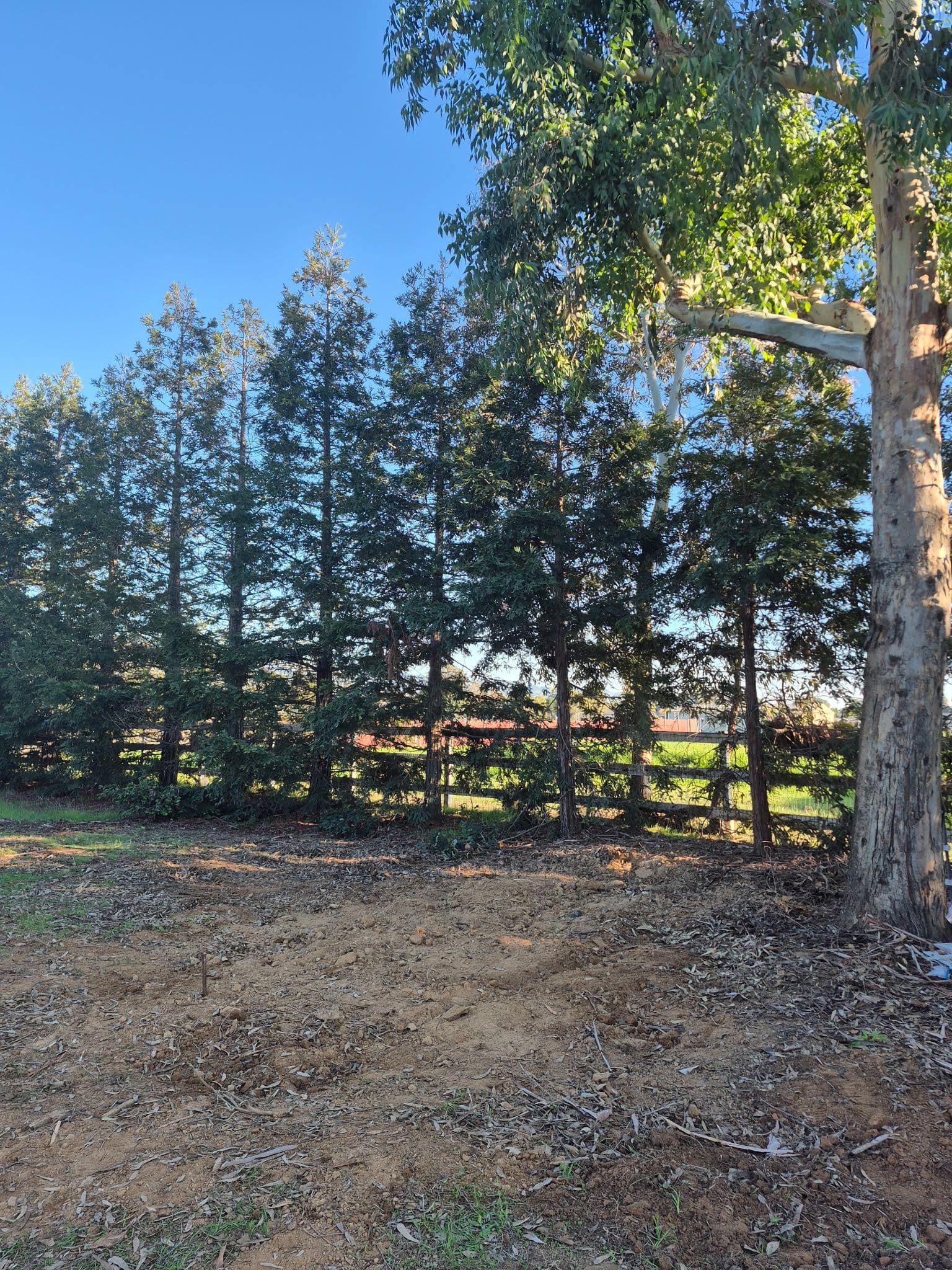 Gallery photos for Shed Cleared Safely and Efficiently in Gilroy: Image #1