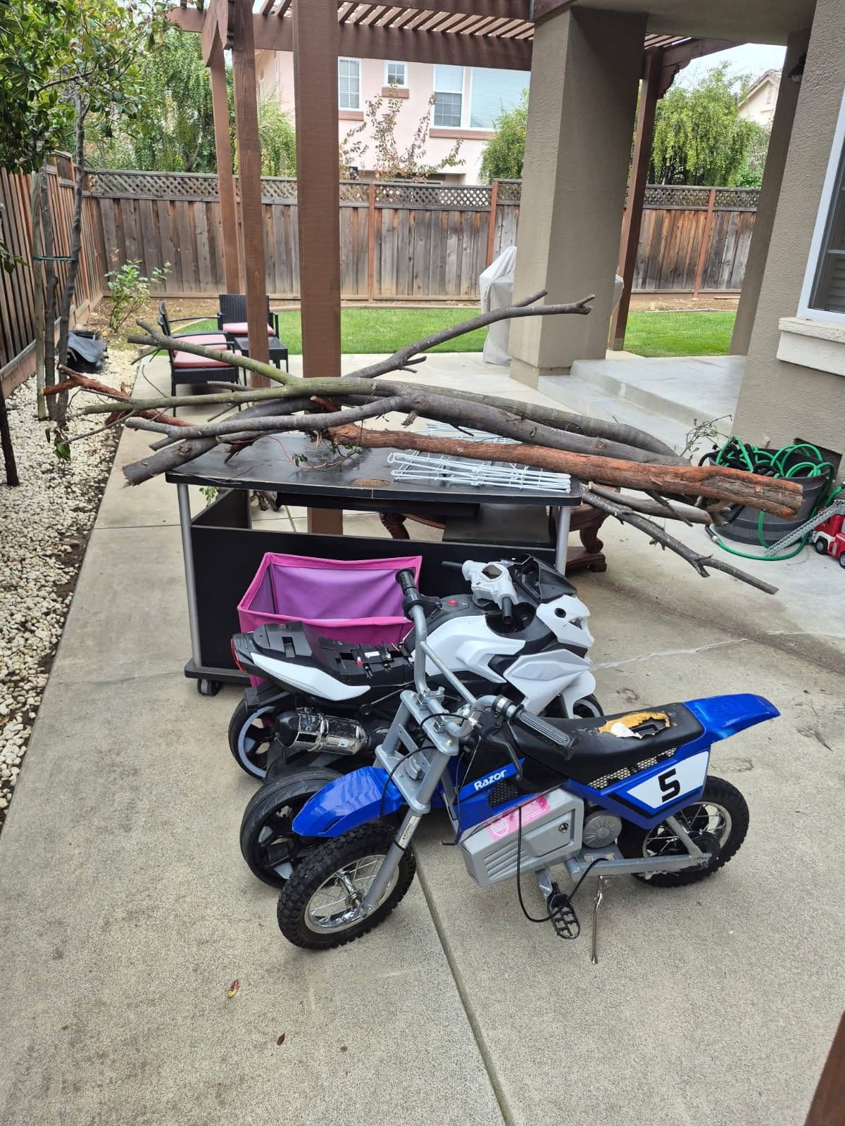 Gallery photos for Backyard Cleanup Success in Morgan Hill: Image #1